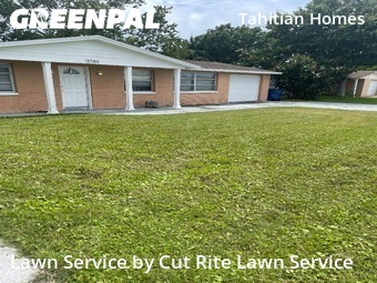 Lawn Cutting nearby Holiday, FL, 