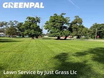 Lawn mowed in East St. Louis, 62205