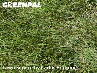 Lawn Mowing nearby Lee's Summit, MO, 