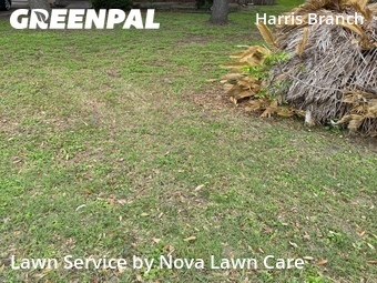 Yard Cutting nearby Austin, TX, 