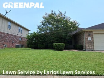 Grass Cut nearby Manvel, TX, 