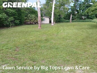 Grass Cutting nearby Longwood, FL, 