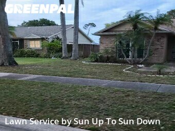 Yard Cutting nearby Palm Harbor, FL, 