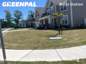 Grass Cut nearby Chesapeake, VA, 