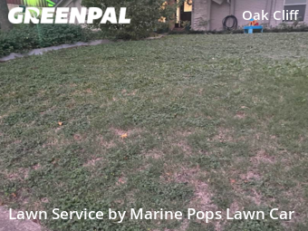 Yard Cutting nearby Dallas, TX, 