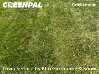 Yard Mowing nearby Detroit, MI, 