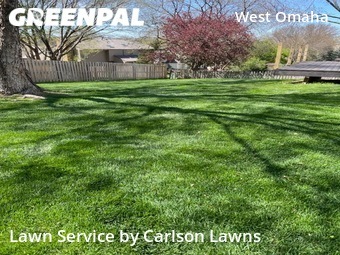 Lawn Service nearby Omaha, NE, 