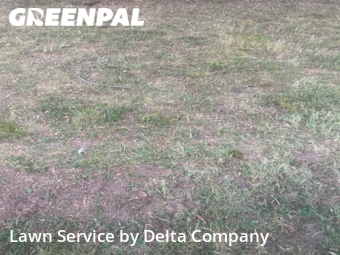 Lawn Mowing nearby Bowling Green, KY, 