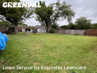 Grass Cut nearby Fort Worth, TX, 
