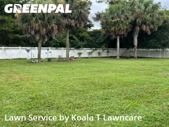 Grass Cut nearby Jacksonville, FL, 