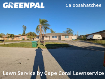 Lawn Mow nearby Cape Coral, FL, 