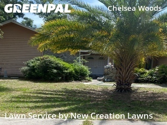Lawn Cutting nearby Valrico, FL, 