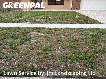 Lawn Mow nearby Orlando, FL, 