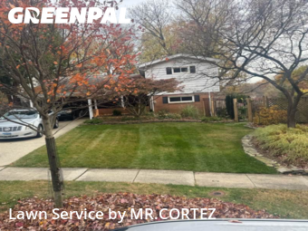 Yard Cutting nearby Silver Spring, MD, 