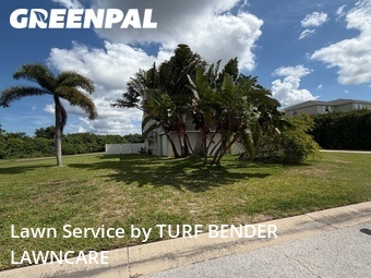 Lawn Servicein Palm Harbor,34683,Lawn Mow by TURF BENDER LAWNCARE, work completed in Jun , 2026