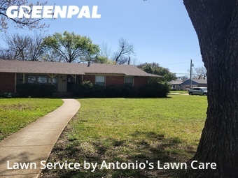 Grass Cut nearby Dallas, TX, 