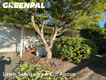 Lawn Mowing Service nearby Auburn, WA, 