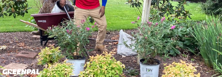 From Field Operations to Smart Routing: Where AI Fits Into Landscaping