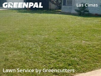 Yard Cutting nearby Austin, TX, 