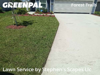 Grass Cut nearby Jacksonville, FL, 