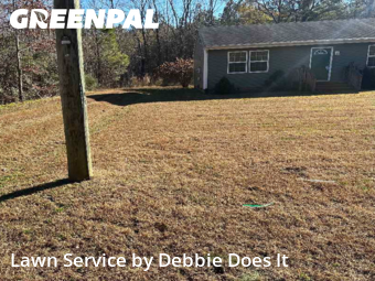 Lawn Management in Suffolk, 23434, Turf Services by Debbie Does It, work completed in Dec , 2025