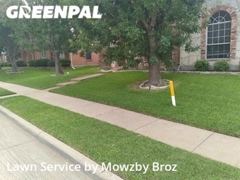 Yard Cutting nearby The Colony, TX, 