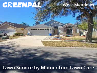 Grass Cut nearby Tampa, FL, 