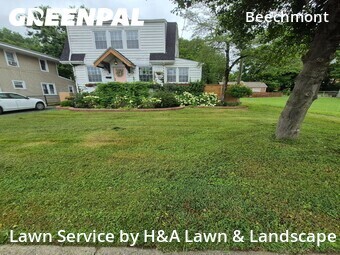 Grass Cut nearby Louisville, KY, 