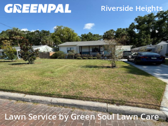 Grass Cutting nearby Tampa, FL, 