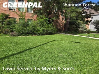 Lawn Cut nearby Spring, TX, 
