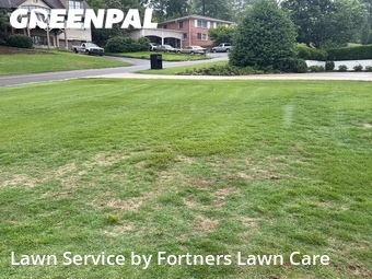 Lawn Mowing Service nearby Birmingham, AL, 