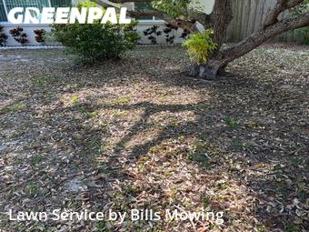 Lawn Service nearby Dunedin, FL, 