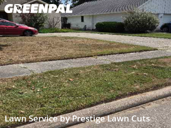 Lawn Maintenance nearby Spring, TX, 