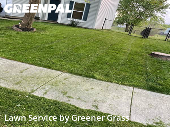 Lawn Care Service nearby Indianapolis, IN, 