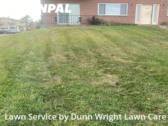 Lawn Care Service nearby St. Louis, MO, 