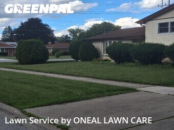 Yard Cutting nearby Des Plaines, IL, 