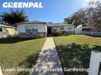 Modern Landscaping In Los Angeles,91335,Landscaping Renovation by Olivares Gardening , work completed in Nov , 2025