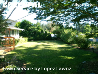 Yard Cutting nearby Everett, WA, 