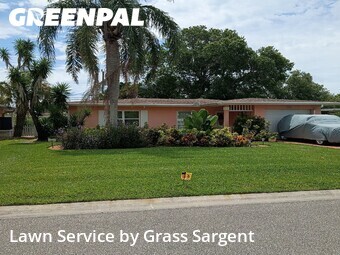 Lawn Mowing nearby Dunedin, FL, 