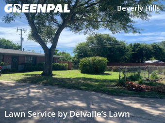 Lawn Mow nearby Daytona Beach, FL, 