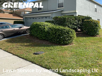 Lawn Service nearby Lakeland, FL, 