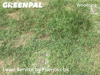 Yard Cutting nearby Baltimore, MD, 