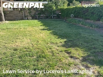 Lawn Maintenance nearby Albuquerque, NM, 