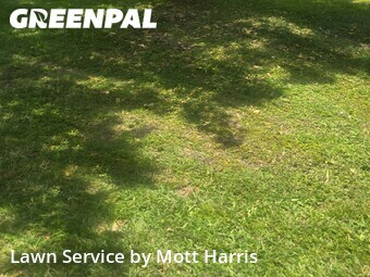 Lawn Mowing Servicein Plantation,33317,Lawn Service by Mott Harris, work completed in Jun , 2026