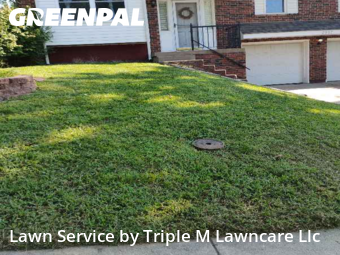 Yard Cuttingin Blue Springs,64015,Lawn Care by Triple M Lawncare Llc, work completed in Nov , 2025