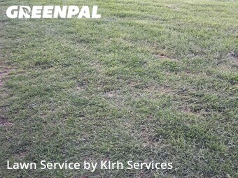 Grass Cutting nearby New Pekin, IN, 