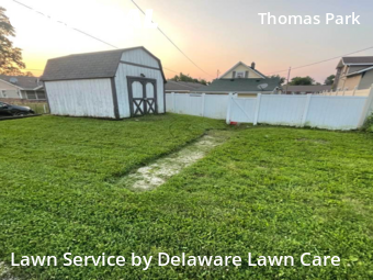 Grass Cutting nearby Muncie, IN, 