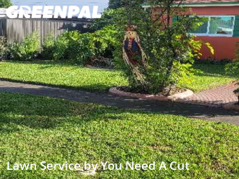 Affordable Landscaping In Hialeah,33012,Landscaping Cleanup by You Need A Cut , work completed in Oct , 2025