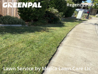 Work completed by lawn-mowing-quotes-in-Sacramento-CA
