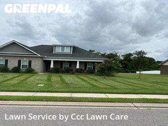 Lawn Care nearby Murfreesboro, TN, 
